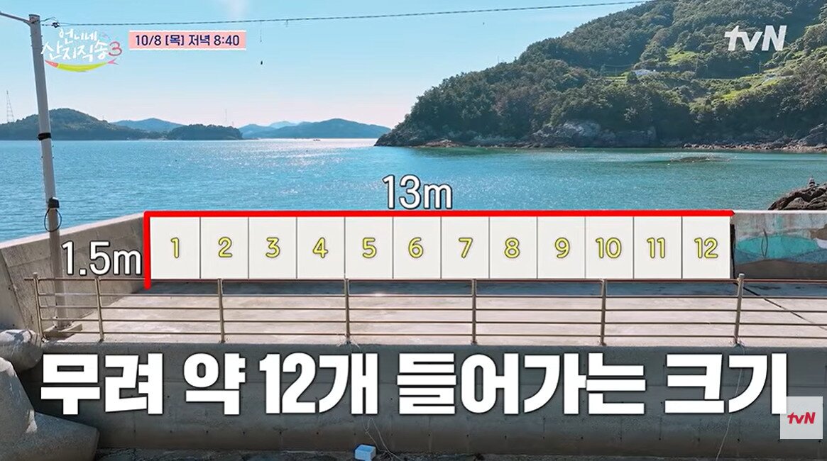 본문 이미지 - 사진=유튜브 채널 'tvN Joy' 영상 갈무리