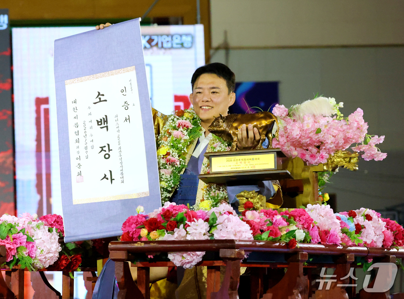 (서울=뉴스1) = 7일 충청북도 괴산군 괴산문화체육센터에서 열린 ‘위더스제약 2026 괴산추석장사씨름대회’ 소백장사(72kg이하)에 등극한 김성하(창원특례시청)이 장사꽃가마를 타 …