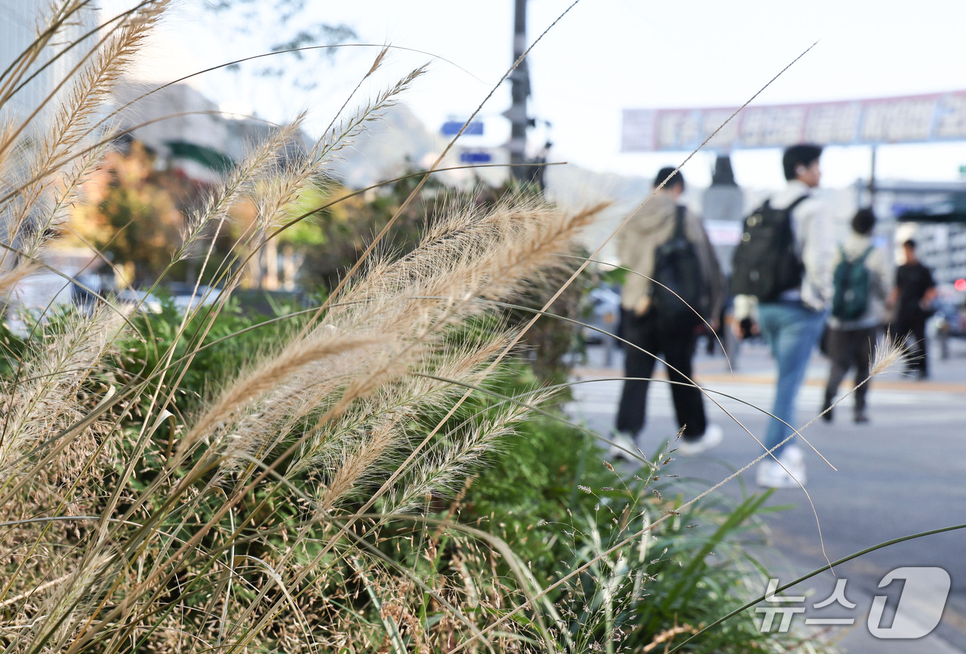 (서울=뉴스1) 이종수 기자 = 절기상 찬 이슬이 맺히기 시작한다는 ‘한로’인 8일 오전 서울 중구 세종대로에서 시민들이 출근길 발걸음을 옮기고 있다. 이날 아침 최저기온은 6도까 …