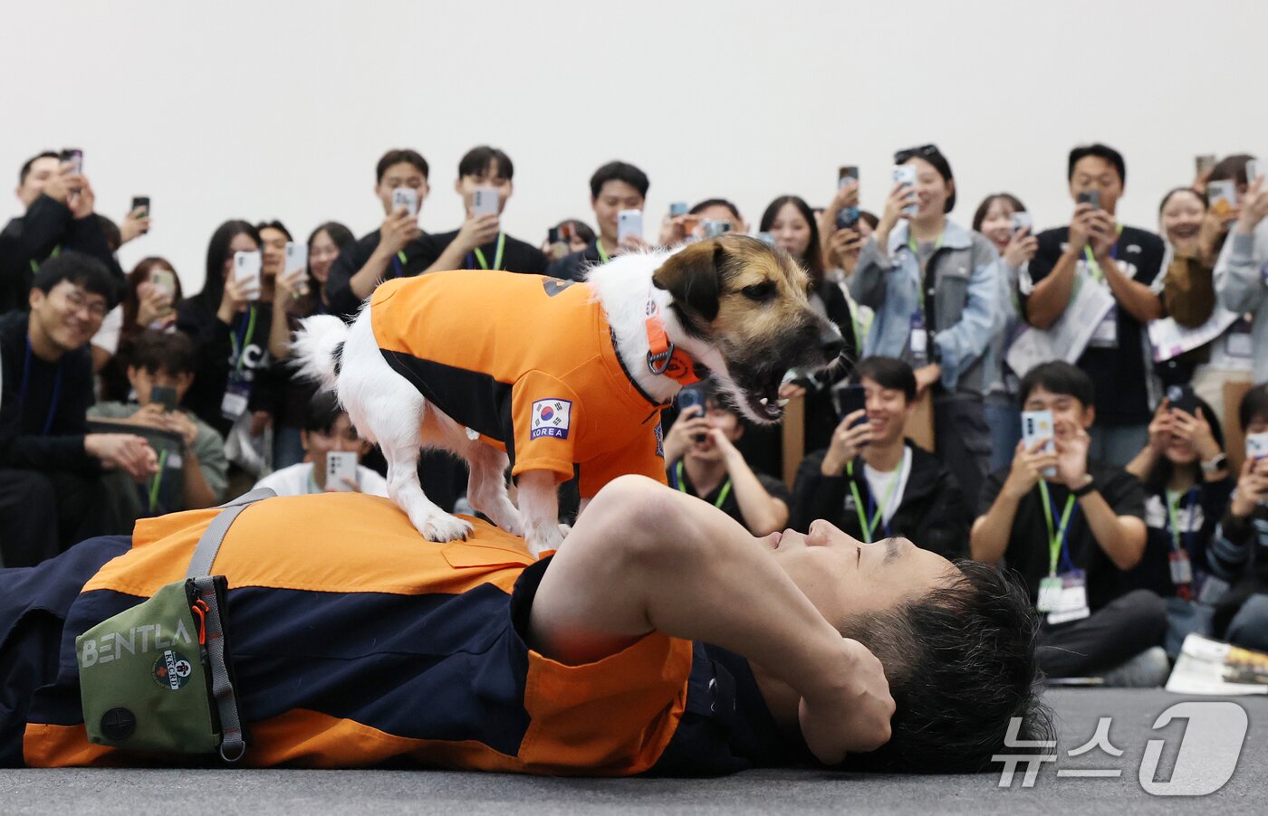 본문 이미지 - 8일 경기 수원시 권선구 수원메쎄에서 열린 '2026 경기도 소방장비 전시회'에서 인명구조견 신디가 심폐소생술 시범을 보이고 있다. 2026.10.8 ⓒ 뉴스1 김영운 기자