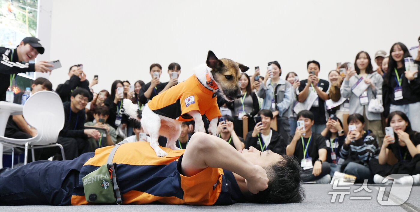 본문 이미지 - 8일 경기 수원시 권선구 수원메쎄에서 열린 '2026 경기도 소방장비 전시회'에서 인명구조견 신디가 심폐소생술 시범을 보이고 있다. 2026.10.8 ⓒ 뉴스1 김영운 기자