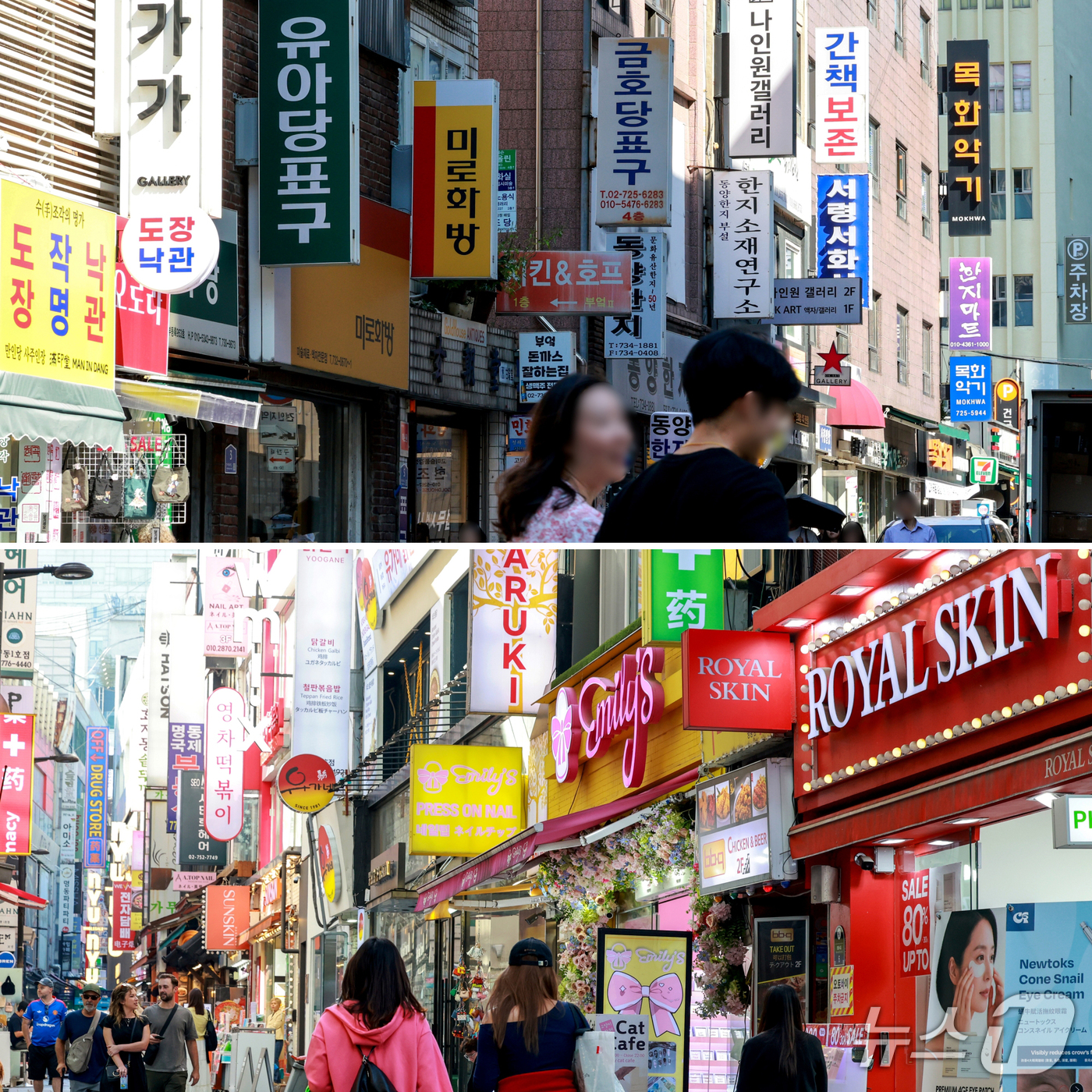 (서울=뉴스1) 이호윤 기자 = 580돌 한글날을 하루 앞둔 8일 서울 종로구 인사동 거리(위쪽)와 중구 명동 거리에 각각 한글 표기 간판들과 외국어 표기 간판들이 설치돼 있다. …