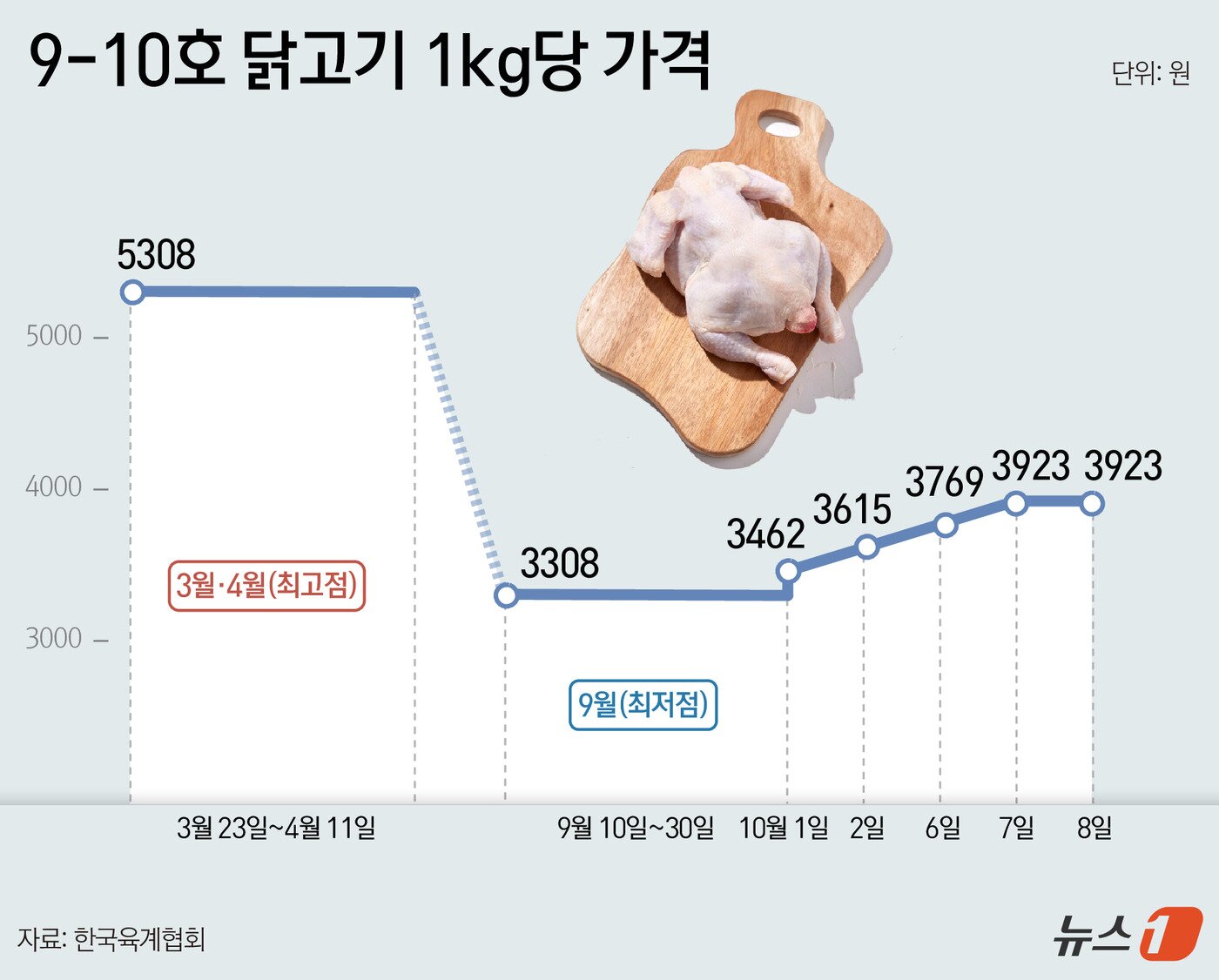 본문 이미지 - ⓒ 뉴스1 윤주희 디자이너