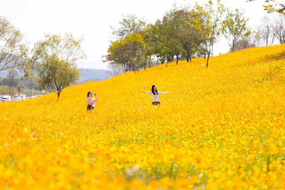 [오늘의 날씨] 전남광주(10일, 토)…5~10㎜ 비소식