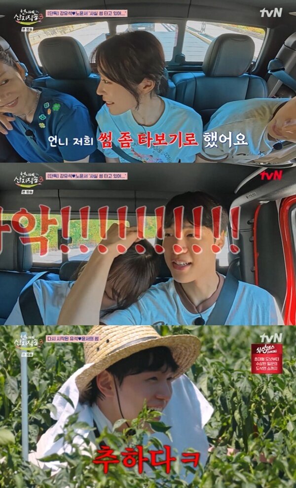 본문 이미지 - tvN '언니네 산지직송3' 캡처