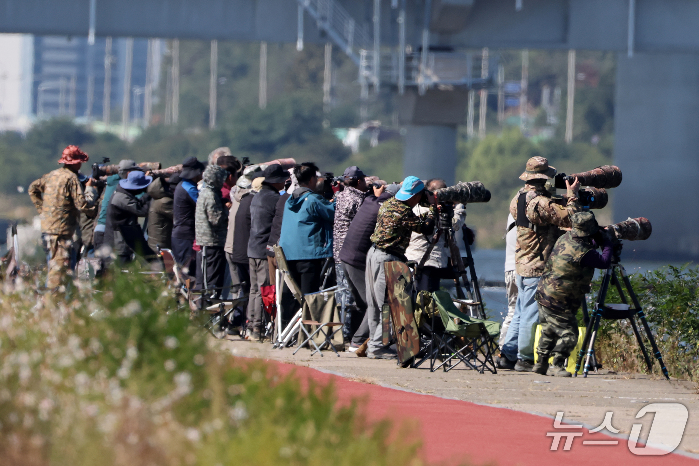(포항=뉴스1) 최창호 기자 = 9일 전국에서 모여든 생태사진작가들이 경북 포항시 남구 연일읍 형산강에서 환경부 지정 멸종위기 야생생물 Ⅱ급 물수리의 사냥 모습을 촬영하고 있다.이 …