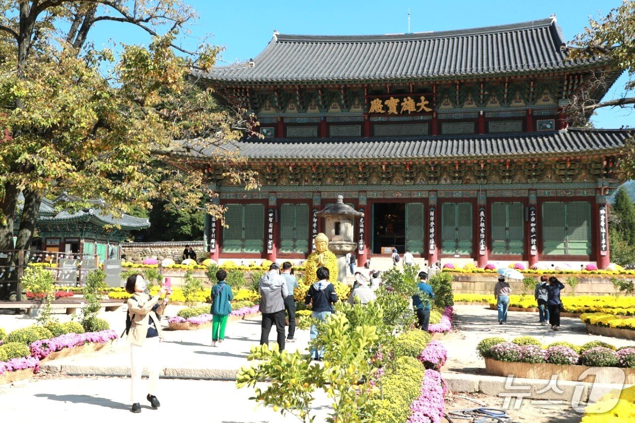 본문 이미지 - 9일 가을 국화 향연이 열린 충북 보은의 속리산 법주사를 찾은 시민들이 경내를 둘러보고 있다.(보은군 제공. 재판매 및 DB 금지) 2026.10.9/뉴스1 