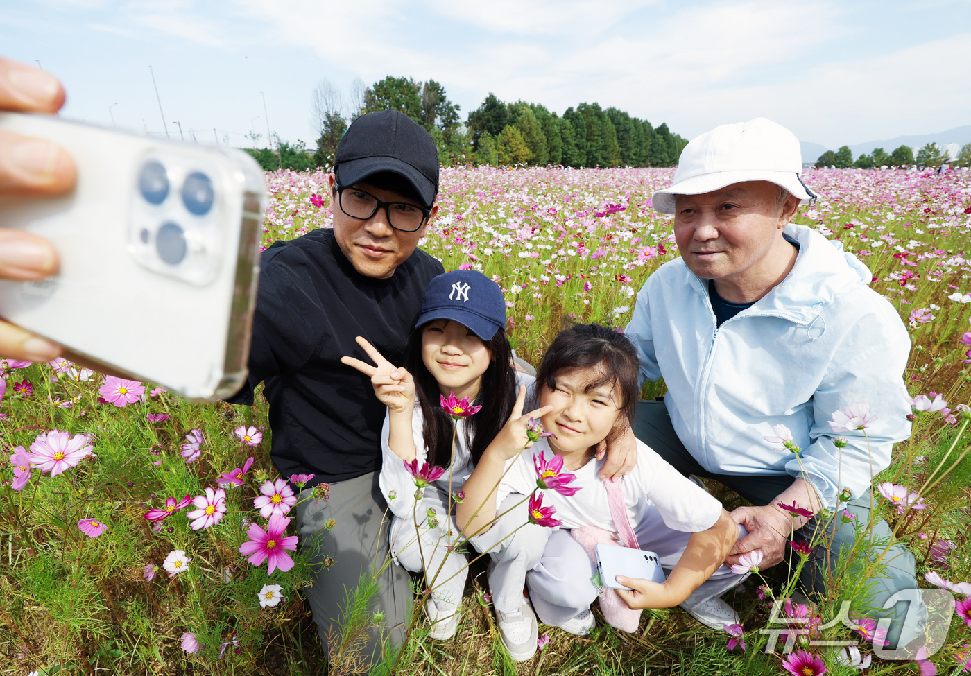 (구리=뉴스1) 김민지 기자 = 9일 오후 경기 구리한강시민공원에서 열린 2026 구리 코스모스 축제를 찾은 시민들이 꽃밭에서 사진을 찍고 있다.이번 축제는 오는 11일까지 열리며 …