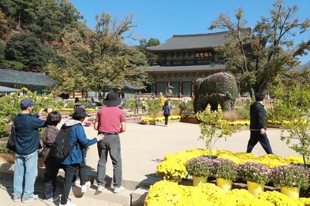 [오늘의 날씨] 세종·충북(10일, 토)…맑음, 낮 최고 25~26도
