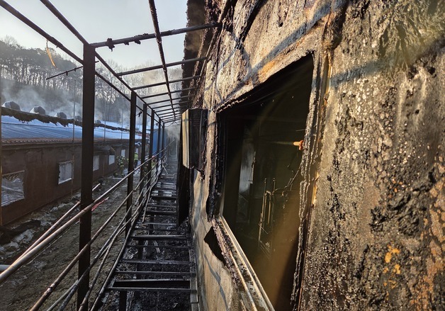 천안 돈사 화재로 돼지 960마리 폐사…1억5700만원 피해