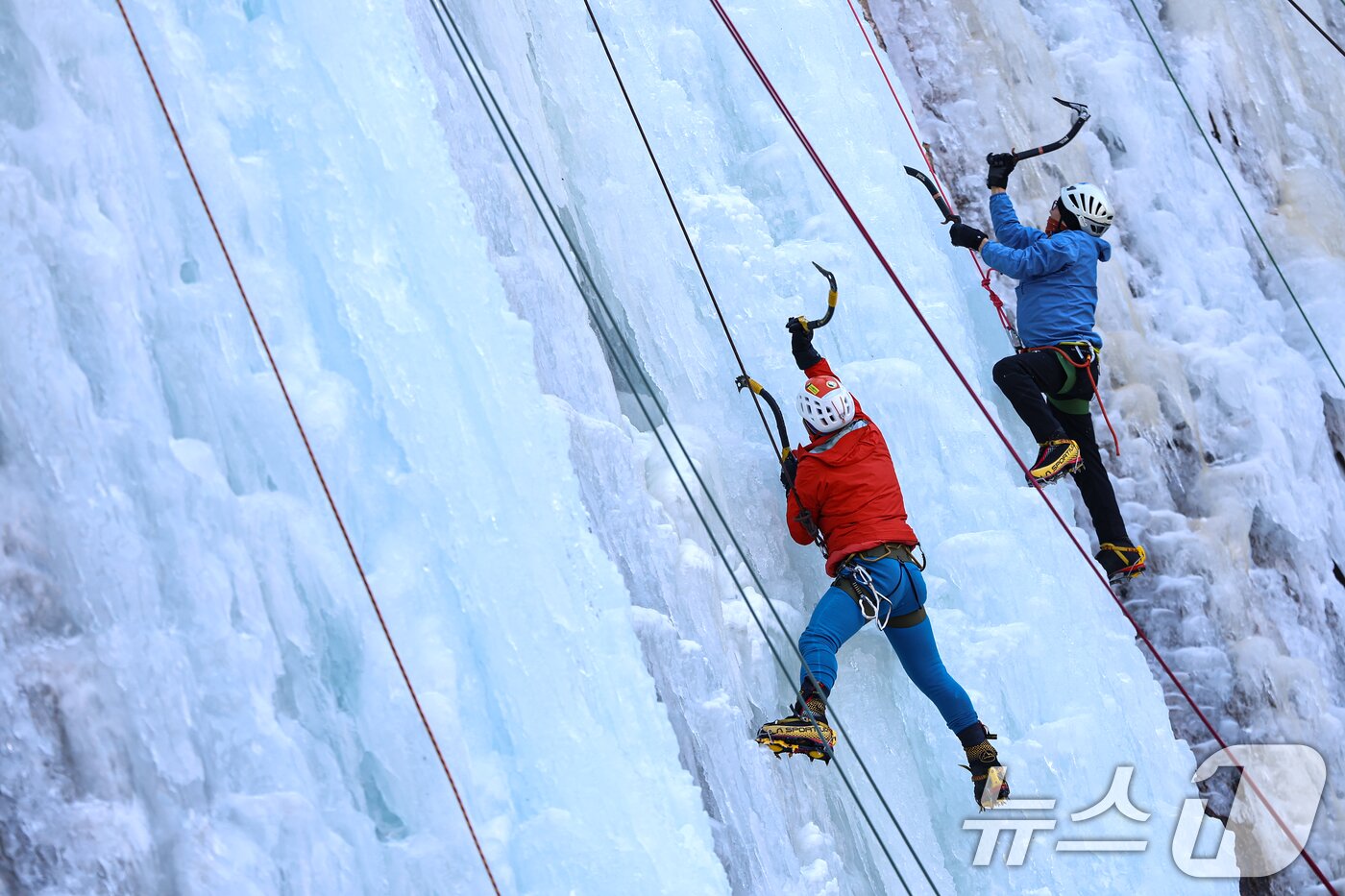 본문 이미지 - 1일 경기 양주시 가래비 빙벽을 찾은 등반 동호인들이 빙벽을 오르고 있다. 2026.2.1/뉴스1 ⓒ News1 김도우 기자