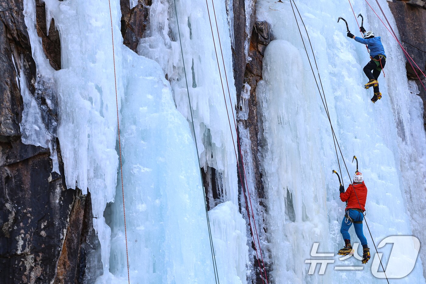 본문 이미지 - 1일 경기 양주시 가래비 빙벽을 찾은 등반 동호인들이 빙벽을 오르고 있다. 2026.2.1/뉴스1 ⓒ News1 김도우 기자