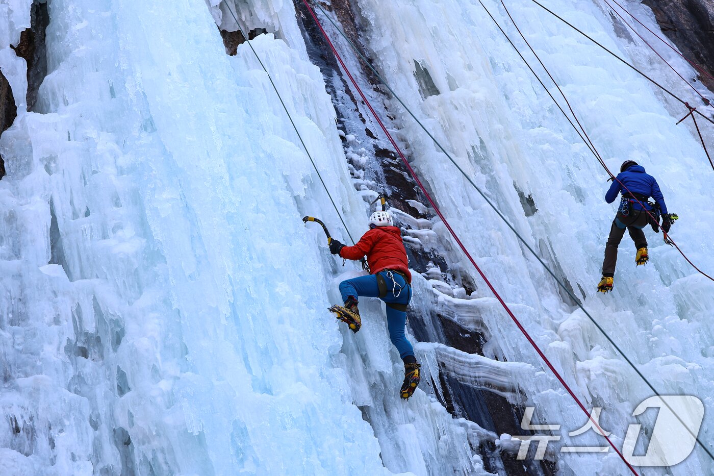 본문 이미지 - 1일 경기 양주시 가래비 빙벽을 찾은 등반 동호인들이 빙벽을 오르고 있다. 2026.2.1/뉴스1 ⓒ News1 김도우 기자
