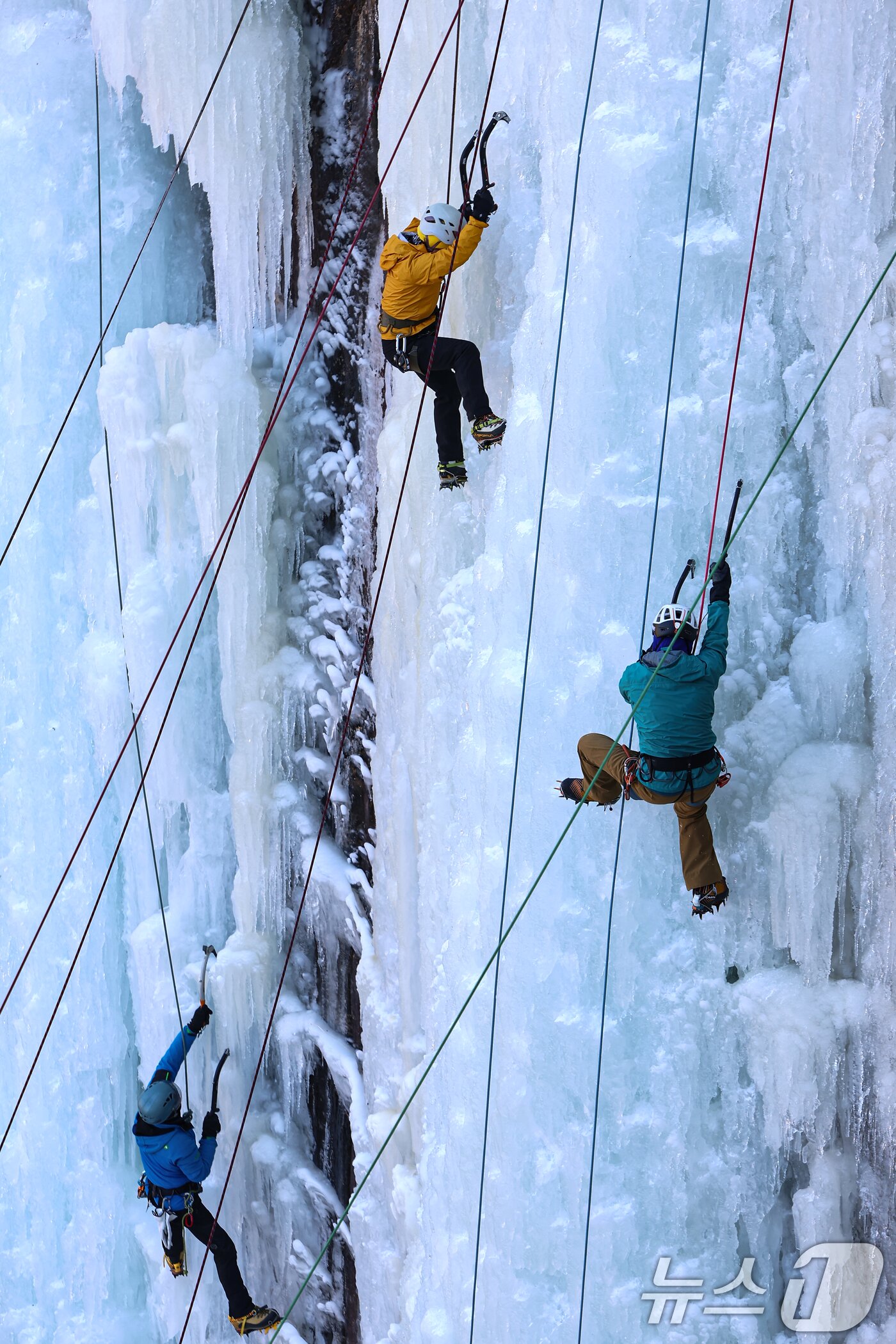 본문 이미지 - 1일 경기 양주시 가래비 빙벽을 찾은 등반 동호인들이 빙벽을 오르고 있다. 2026.2.1/뉴스1 ⓒ News1 김도우 기자