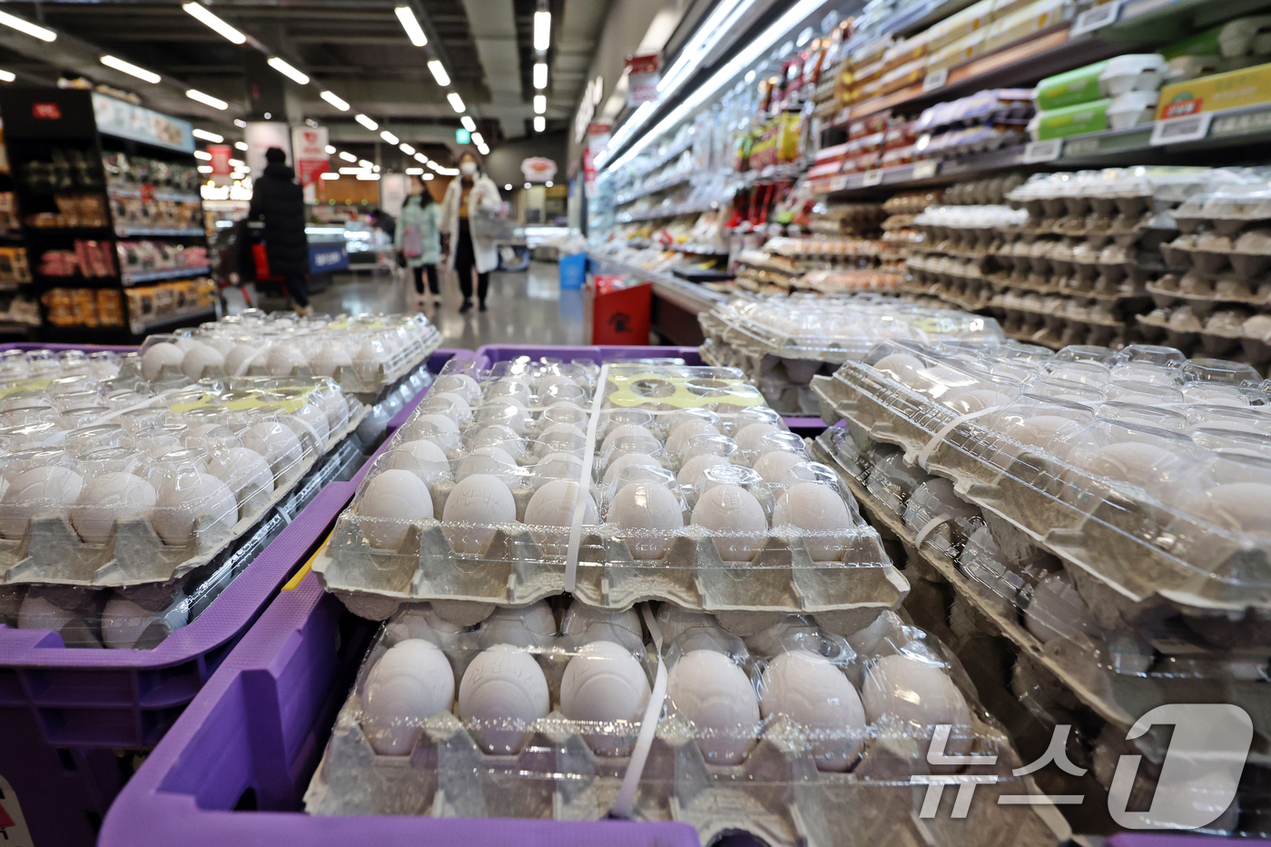 (서울=뉴스1) 황기선 기자 = 1일 서울 강서구 홈플러스 강서점에 '미국산 백색 신선란'이 판매되고 있다.농림축산식품부는 국내 고병원성 조류인플루엔자(AI) 확산에 따른 계란 수 …