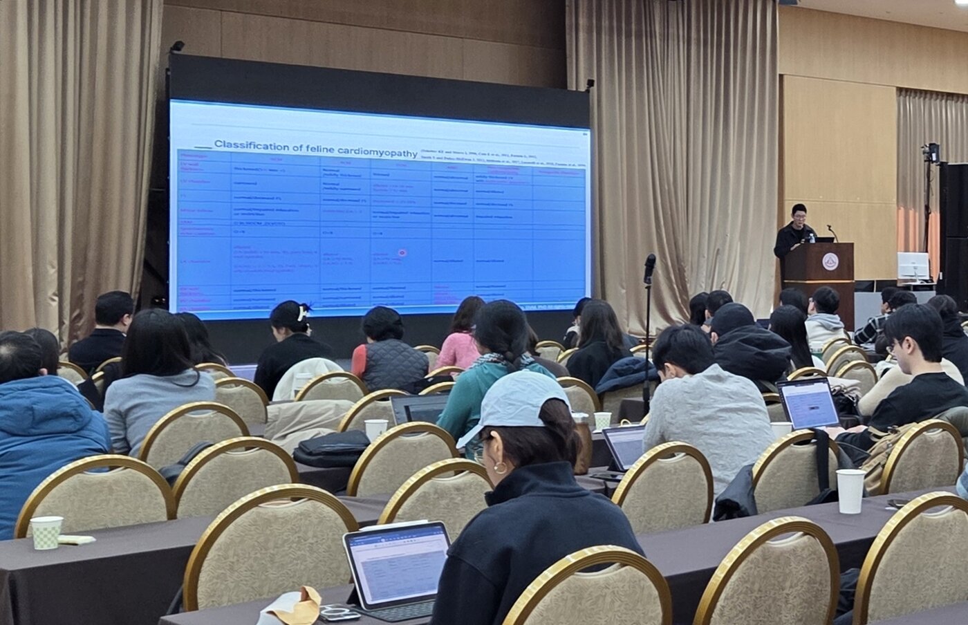 본문 이미지 - 윤학영 전북대학교 수의과대학 교수가 1일 세종대학교 대양AI센터에서 열린 2026 서울시수의사회 연수교육에서 '고양이 심근병 진단을 위한 심장초음파'를 주제로 강의하고 있다. ⓒ 뉴스1 한송아 기자