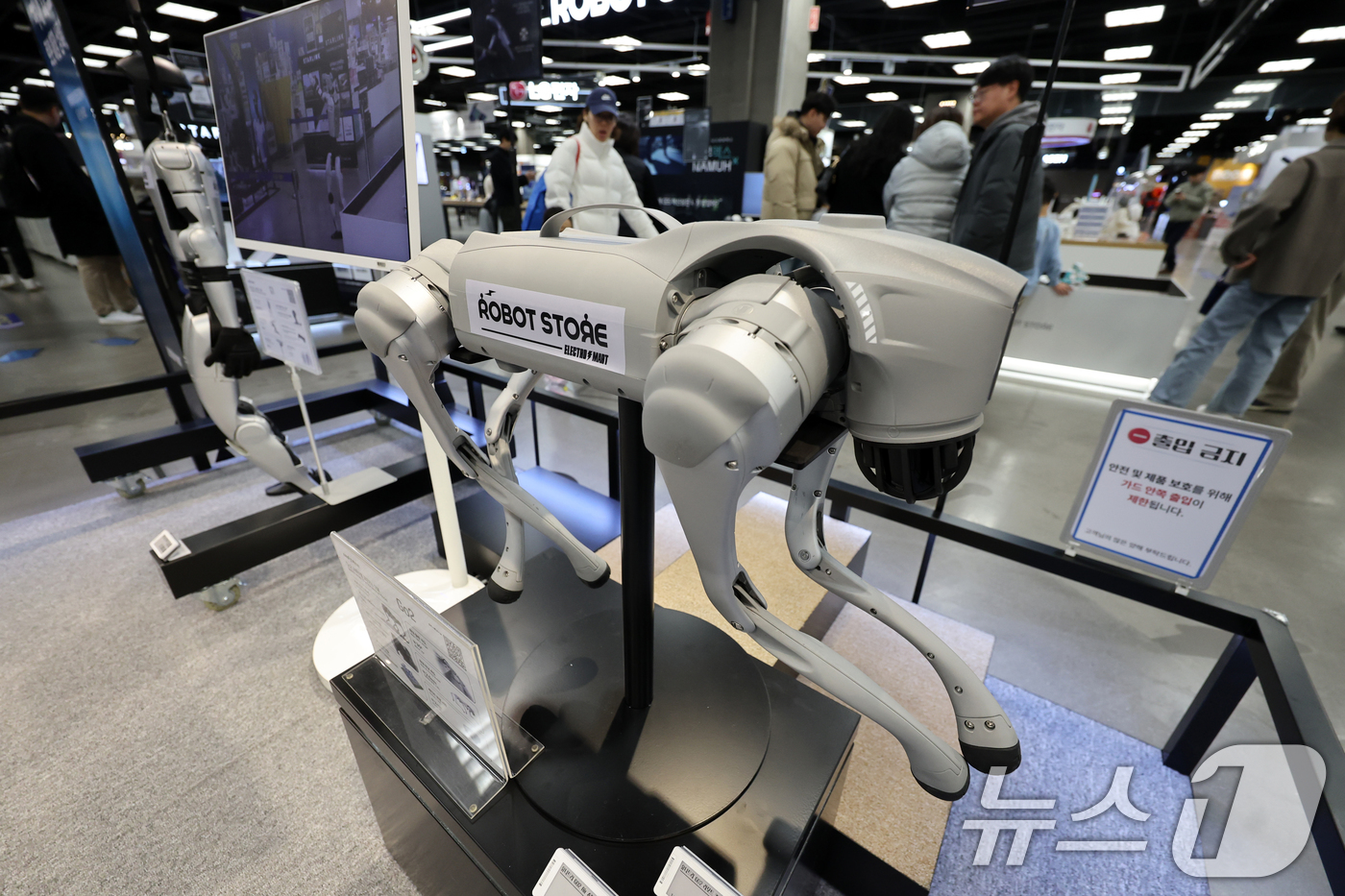 (서울=뉴스1) 황기선 기자 = 1일 서울 영등포구 이마트 일렉트로마트 영등포점에 로봇이 진열돼 있다.이마트 일렉트로마트 영등포점은 국내 최초로 휴머노이드 로봇을 포함한 개인용 로 …