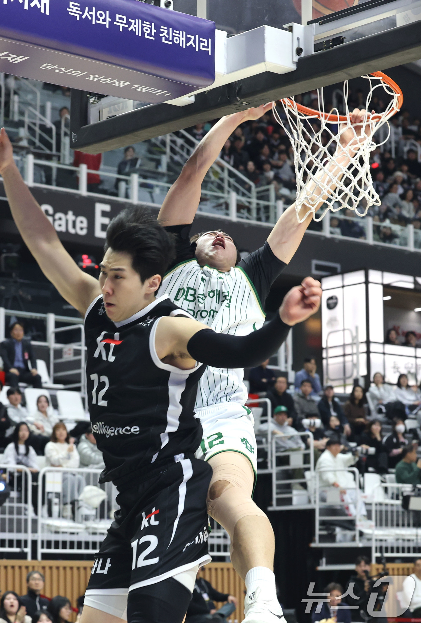 (수원=뉴스1) 이광호 기자 = 1일 오후 경기 수원KT소닉붐아레나에서 열린 2025-2026 LG전자 프로농구 수원 KT와 원주 DB의 경기에서 DB 정효근이 덩크슛을 시도하고 …