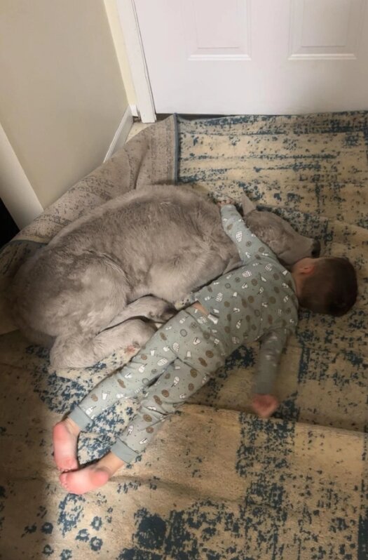 본문 이미지 - CBS 뉴스