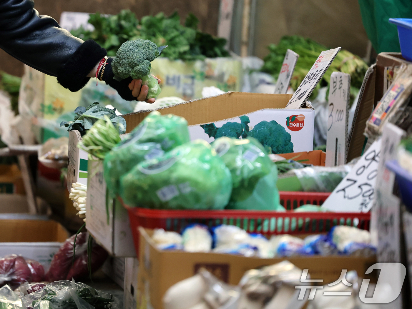 (서울=뉴스1) 황기선 기자 = 민족 최대명절 설을 앞둔 1일 서울 마포구 망원시장에서 시민들이 장을 보고 있다.이날 소상공인시장진흥공단의 '2026년 1월 소상공인시장 경기동향조 …