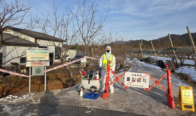 전남서 2주 만에 또 아프리카돼지열병…1280마리 사육 나주 농가