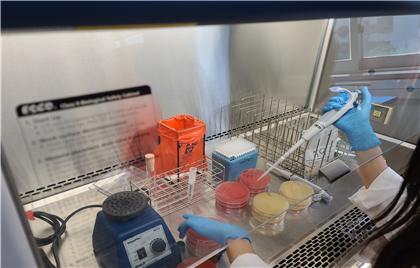 충북보건환경연구원 "명절 성수식품 검사 결과 안전"