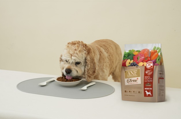 설 연휴 반려동물 위탁한다면…"익숙함이 스트레스를 줄입니다"