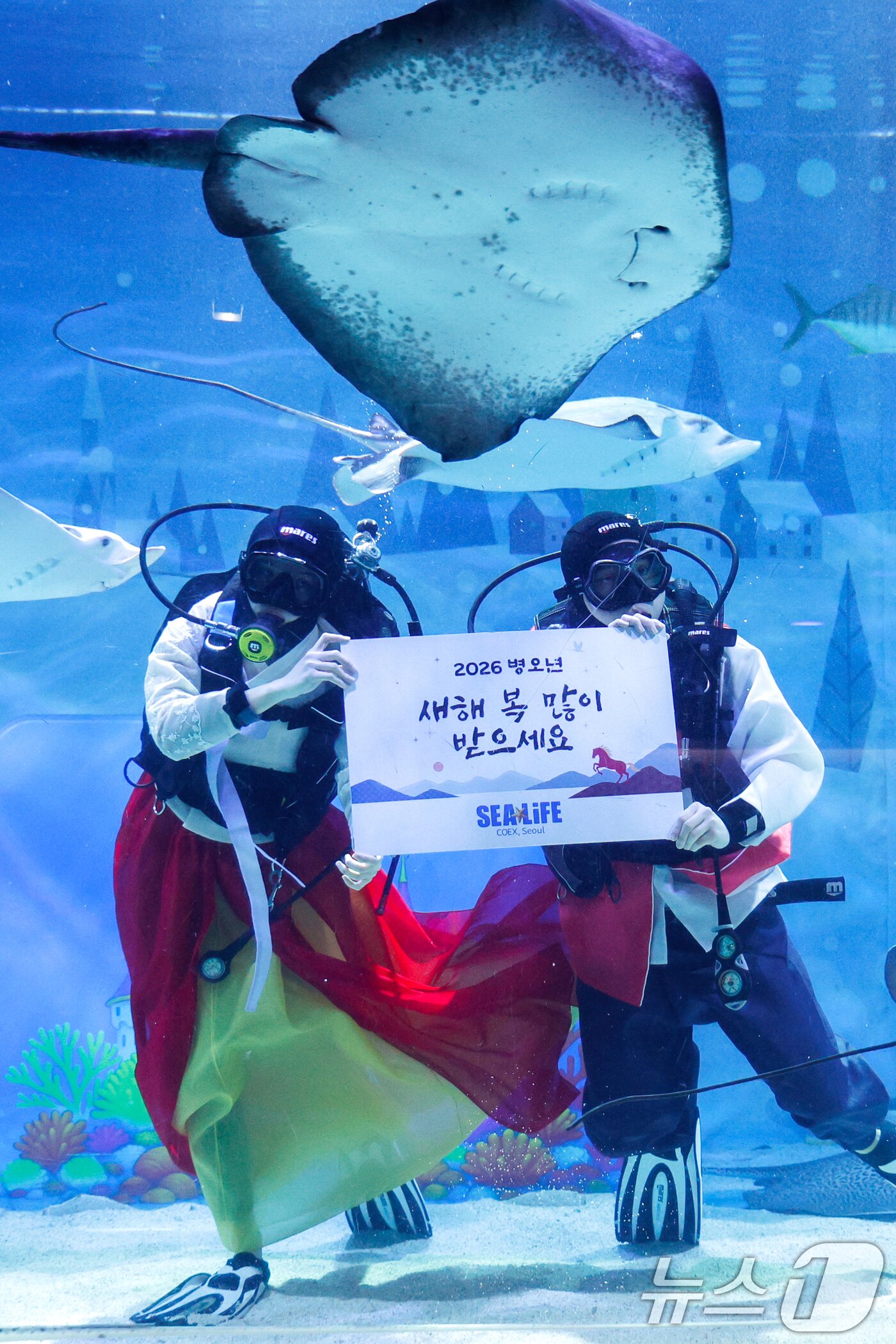 본문 이미지 - 한복을 입은 스쿠버 다이버들이 설 연휴를 앞둔 10일 오전 서울 강남구 씨라이프 코엑스 아쿠아리움에서 새해 인사를 전하고 있다. 2026.2.10 ⓒ 뉴스1 안은나 기자