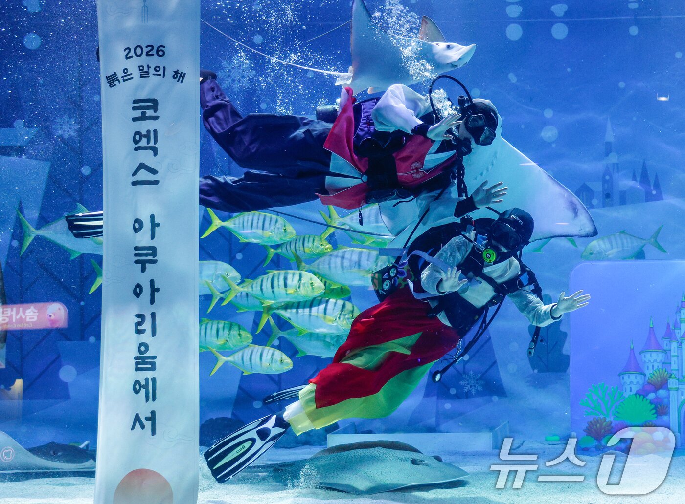 본문 이미지 - 한복을 입은 스쿠버 다이버들이 설 연휴를 앞둔 10일 오전 서울 강남구 씨라이프 코엑스 아쿠아리움에서 새해 인사를 전하고 있다. 2026.2.10 ⓒ 뉴스1 안은나 기자