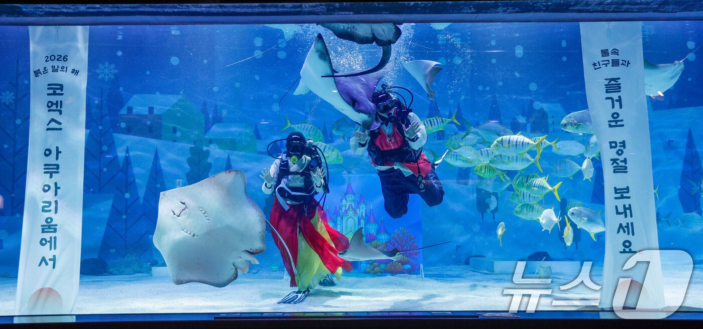 본문 이미지 - 한복을 입은 스쿠버 다이버들이 설 연휴를 앞둔 10일 오전 서울 강남구 씨라이프 코엑스 아쿠아리움에서 새해 인사를 전하고 있다. 2026.2.10 ⓒ 뉴스1 안은나 기자