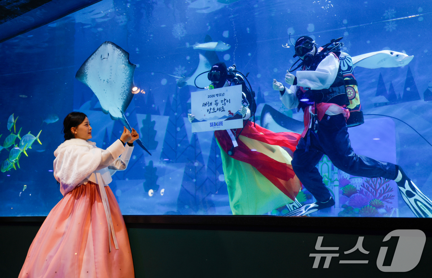 (서울=뉴스1) 안은나 기자 = 한복을 입은 스쿠버 다이버들이 설 연휴를 앞둔 10일 오전 서울 강남구 씨라이프 코엑스 아쿠아리움에서 새해 인사를 전하고 있다. 2026.2.10/ …