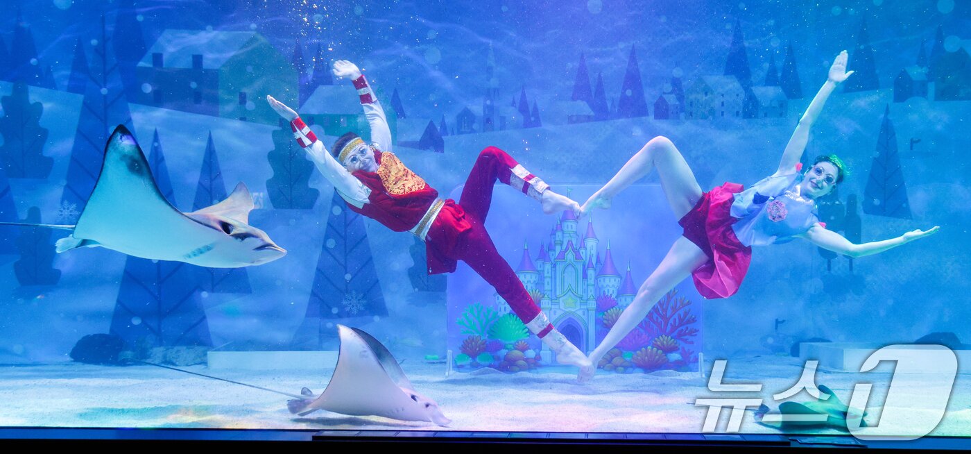 본문 이미지 - 수중 공연자들이 설 연휴를 앞둔 10일 오전 서울 강남구 씨라이프 코엑스 아쿠아리움에서 '인어 왕자의 환상적인 생일 파티' 공연을 펼치고 있다. 2026.2.10 ⓒ 뉴스1 안은나 기자