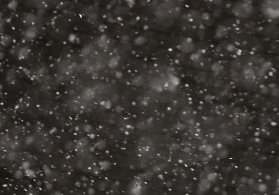 부산에 내리는 함박눈