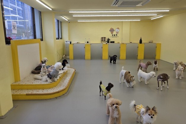 구로구, '우리동네 펫위탁소' 운영…"취약계층 반려동물 돌봄 지원"