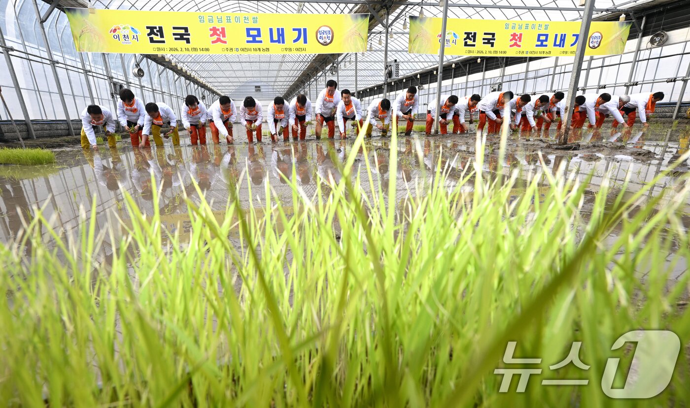 본문 이미지 - 10일 경기 이천시 호법면의 한 비닐하우스 논에서 김경희 이천시장을 비롯한 참석자들이 올해 첫 모내기를 하고 있다. 이날 모내기에 사용된 벼 품종은 진부올벼로 올해 6월에 수확 예정이다. (공동취재) 2026.2.10 ⓒ 뉴스1 김영운 기자