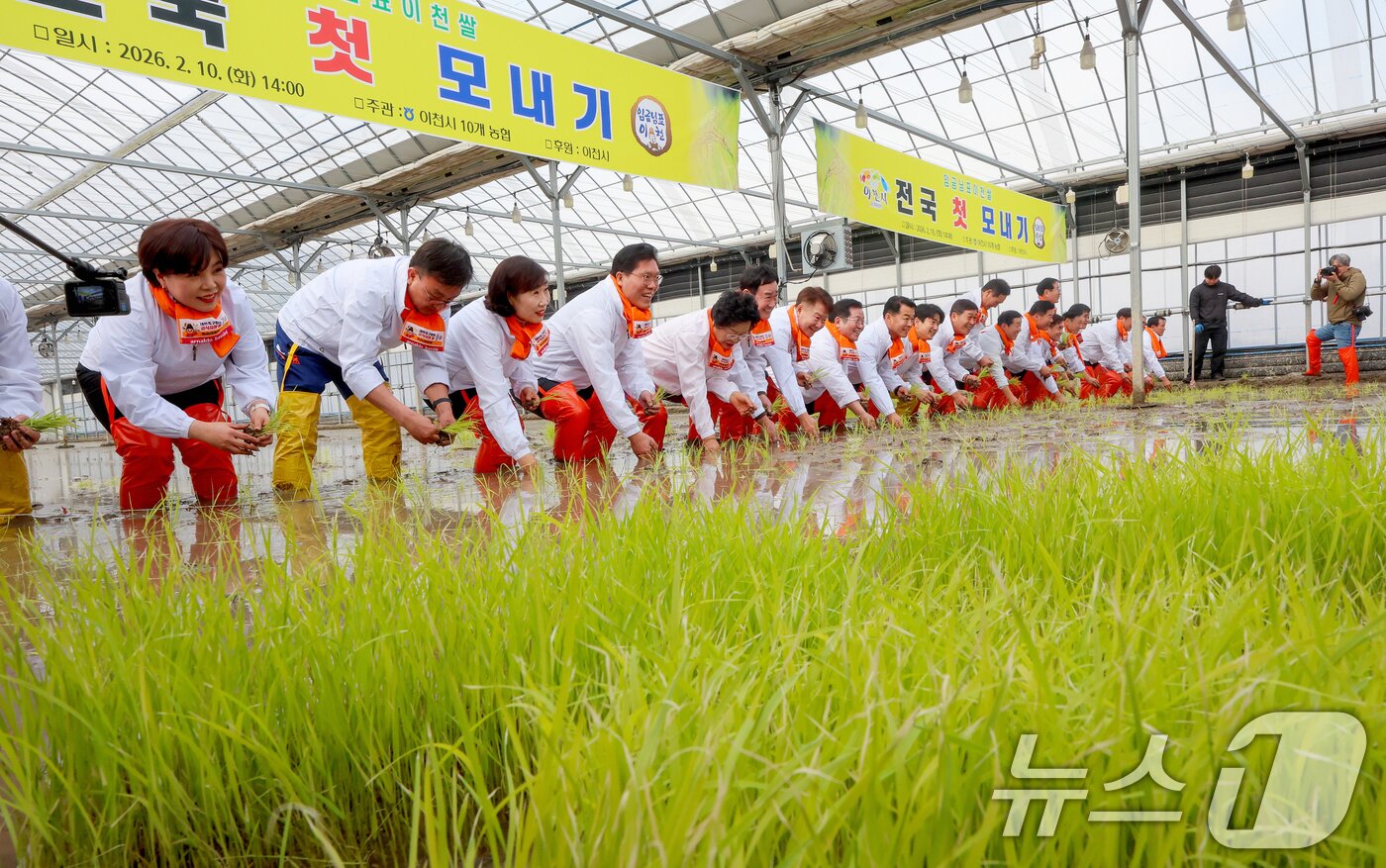 본문 이미지 - 10일 경기 이천시 호법면의 한 비닐하우스 논에서 김경희 이천시장을 비롯한 참석자들이 올해 첫 모내기를 하고 있다. 이날 모내기에 사용된 벼 품종은 진부올벼로 올해 6월에 수확 예정이다. (공동취재) 2026.2.10 ⓒ 뉴스1 김영운 기자