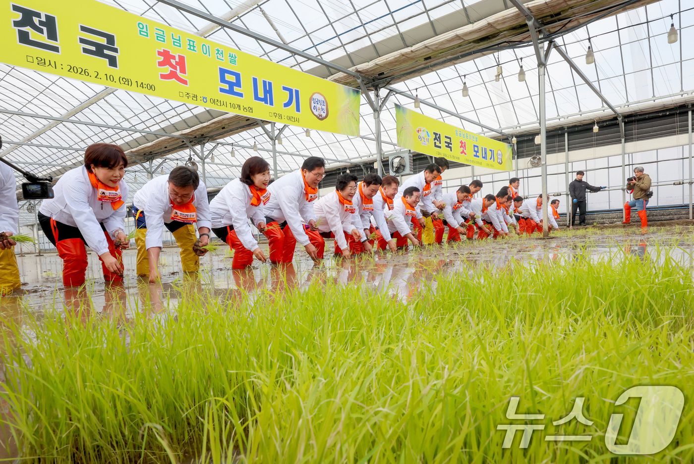 (이천=뉴스1) 김영운 기자 = 10일 경기 이천시 호법면의 한 비닐하우스 논에서 김경희 이천시장을 비롯한 참석자들이 올해 첫 모내기를 하고 있다.이날 모내기에 사용된 벼 품종은 …