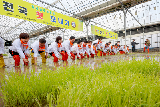 올해 첫 번째 모내기