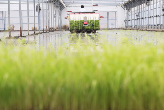 '올해도 풍년을 기원합니다'