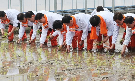 전국 첫 모내기