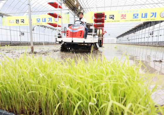 '올해도 풍년을 기원합니다'
