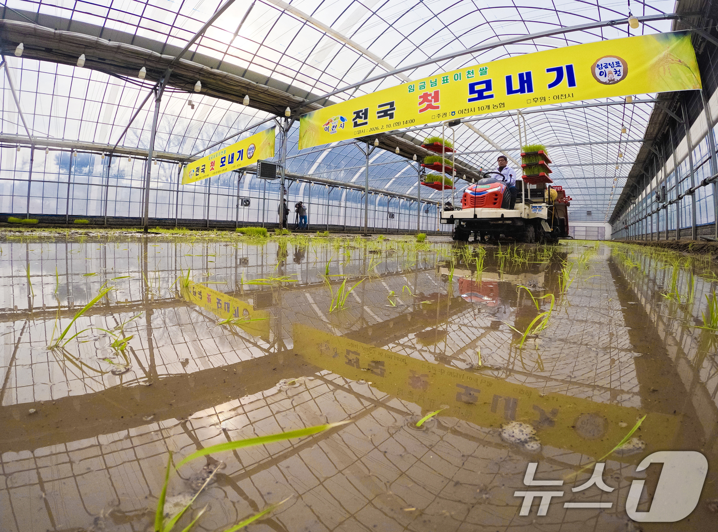 (이천=뉴스1) 김영운 기자 = 10일 경기 이천시 호법면의 한 비닐하우스 논에서 열린 '임금님표 이천 쌀 첫 모내기 행사'에서 관계자가 이앙기로 모를 심고 있다.이날 모내기에 사 …