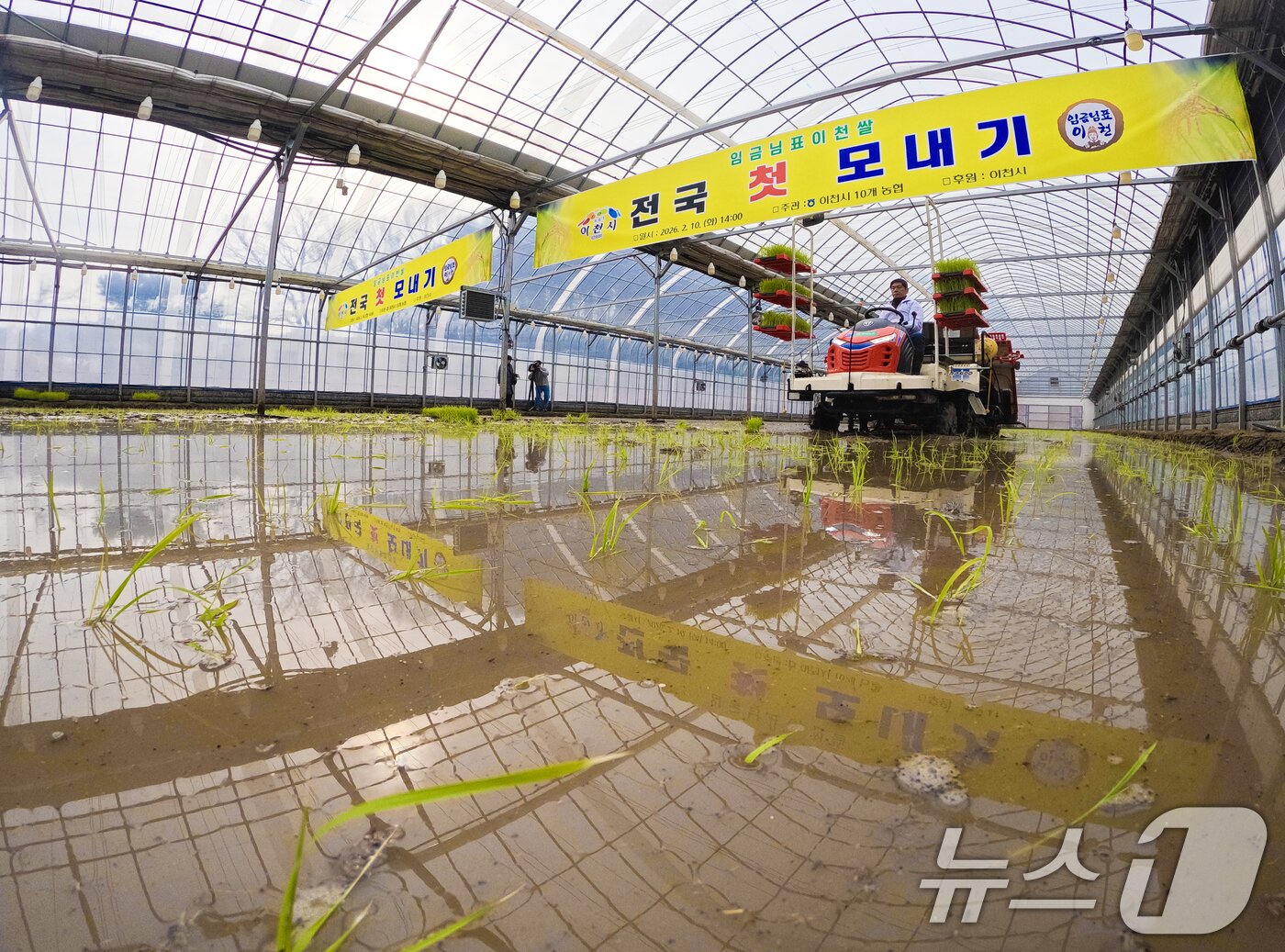 본문 이미지 - 10일 경기 이천시 호법면의 한 비닐하우스 논에서 열린 '임금님표 이천 쌀 첫 모내기 행사'에서 관계자가 이앙기로 모를 심고 있다. 이날 모내기에 사용된 벼 품종은 진부올벼로 올해 6월에 수확 예정이다. (공동취재) 2026.2.10 ⓒ 뉴스1 김영운 기자