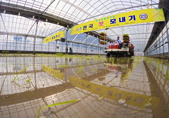 전국 첫 모내기