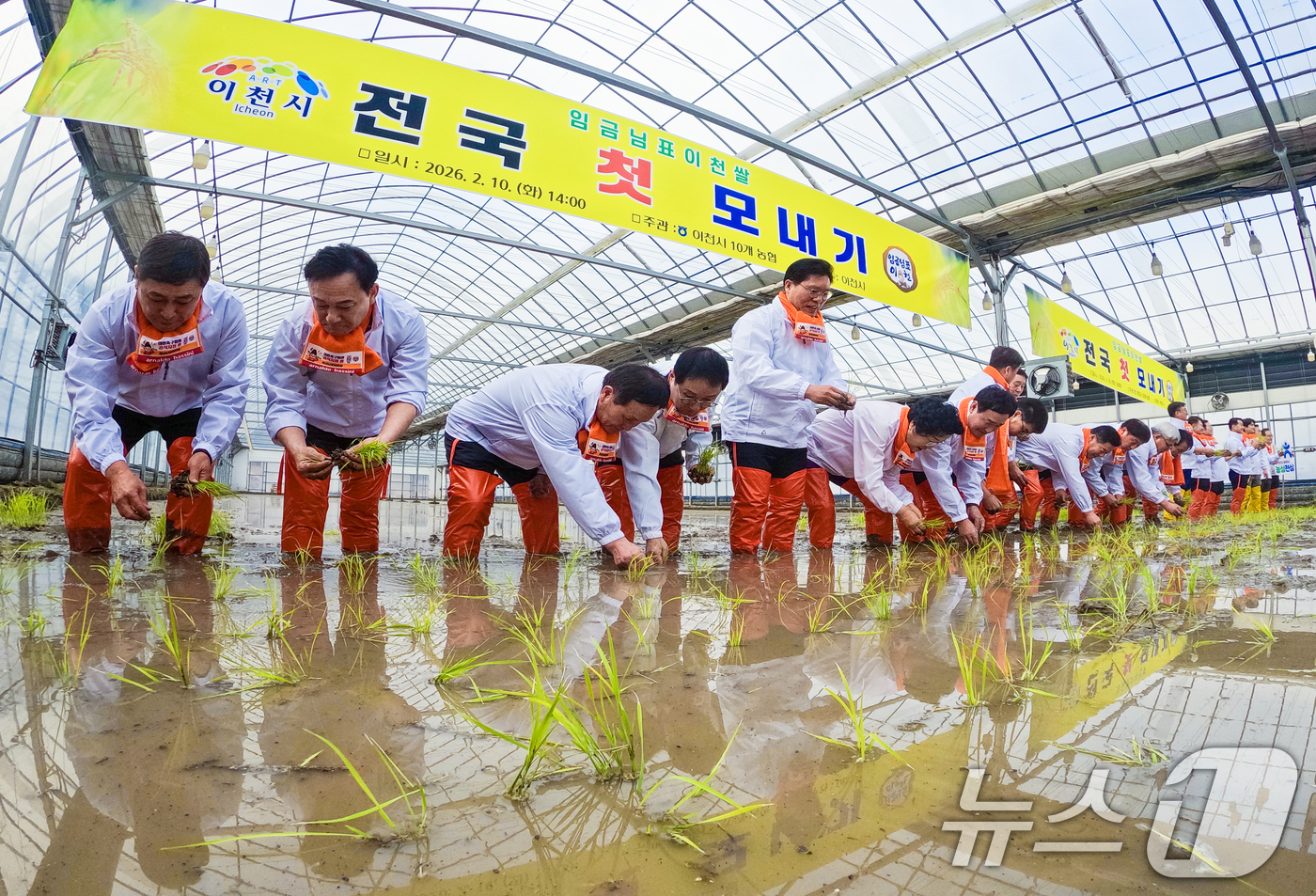 (이천=뉴스1) 김영운 기자 = 10일 경기 이천시 호법면의 한 비닐하우스 논에서 김경희 이천시장을 비롯한 참석자들이 올해 첫 모내기를 하고 있다.이날 모내기에 사용된 벼 품종은 …