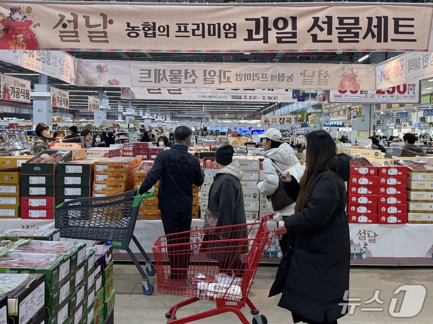 본문 이미지 - 10일 울산 북구 진장동 하나로마트에서 시민들이 과일을 고르고 있다.2026.2.10/뉴스1ⓒ 뉴스1 김세은 기자