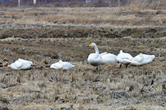 [오늘의 날씨] 대구·경북(11일,수)…낮 5~11도 '포근'
