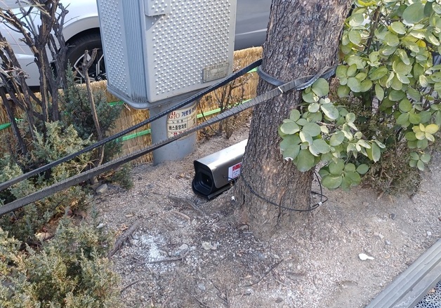 구로구, 실시간 감지 'IoT 방제'로 도심 쥐 잡는다