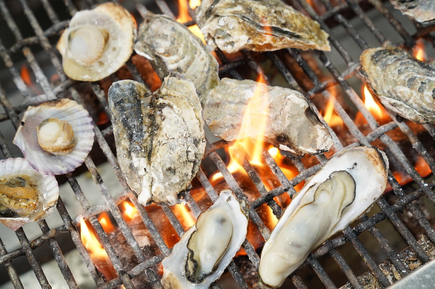 본문 이미지 - 천북굴단지에서 판매 중인 굴과 조개구이.(보령시 제공. 재판매 및 DB금지)/뉴스1