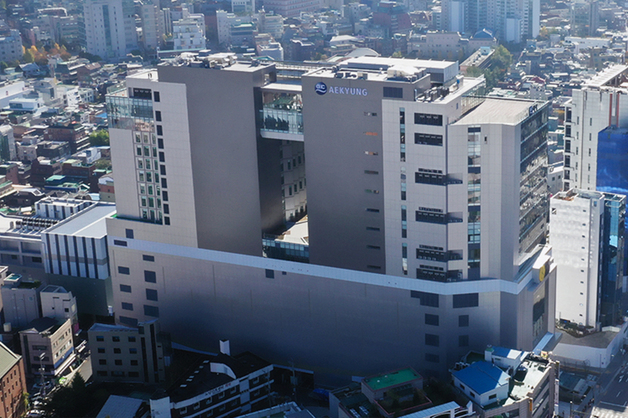 애경그룹 "재도약 시동"…항공·유통 '흑자'·케미칼 '미래기술 확보'